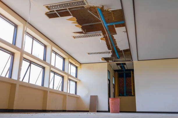 Best Mold removal after water damage  in Waupaca, WI