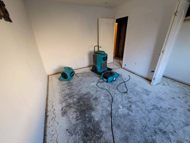 Best Emergency water damage restoration  in Waupaca, WI