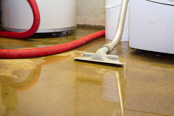 Best 24-hour water damage restoration  in Waupaca, WI