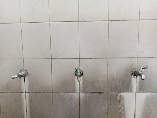 Best Basement water damage restoration  in Waupaca, WI