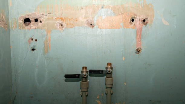  Waupaca, WI Water damage restoration Pros