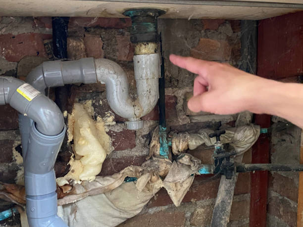Best Water damage restoration mold remediation  in Waupaca, WI