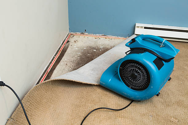 Best Commercial water damage restoration  in Waupaca, WI